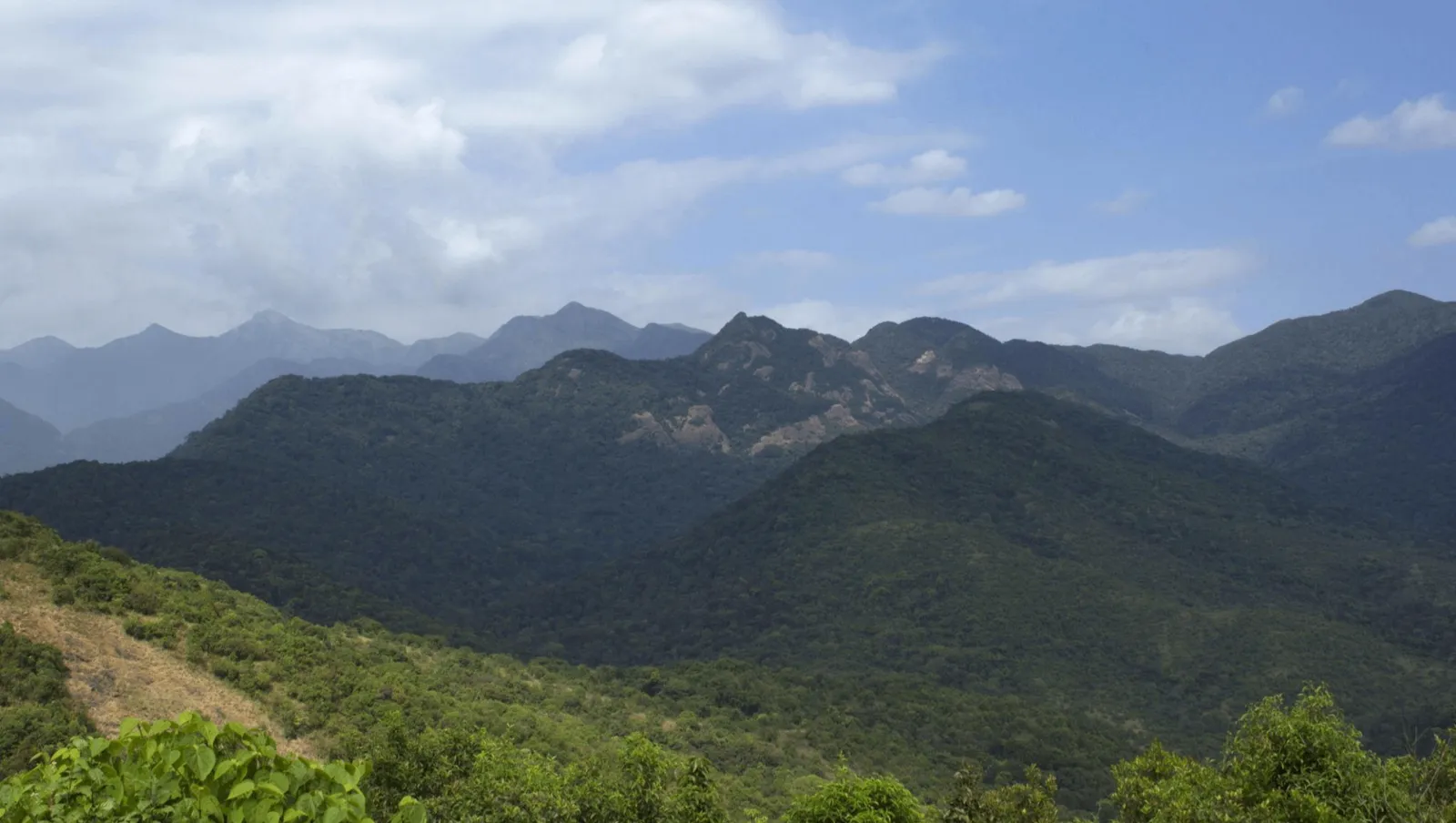 Silent Valley National Park